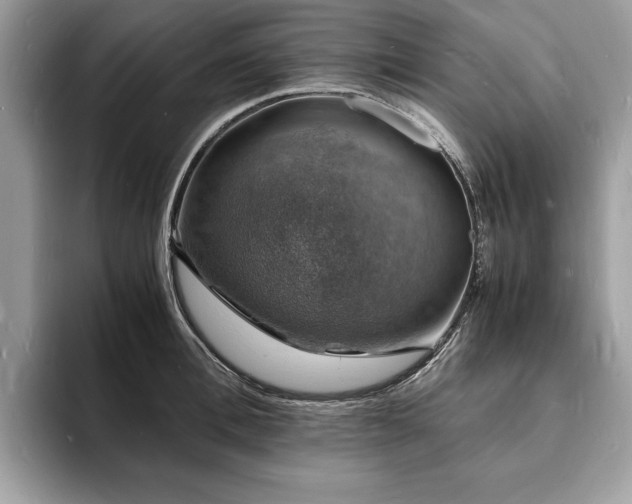 X0000094060996200710191058