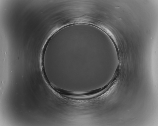 X0000094060997200710191058