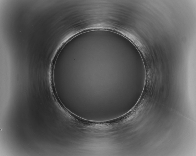 X0000094060998200710191058