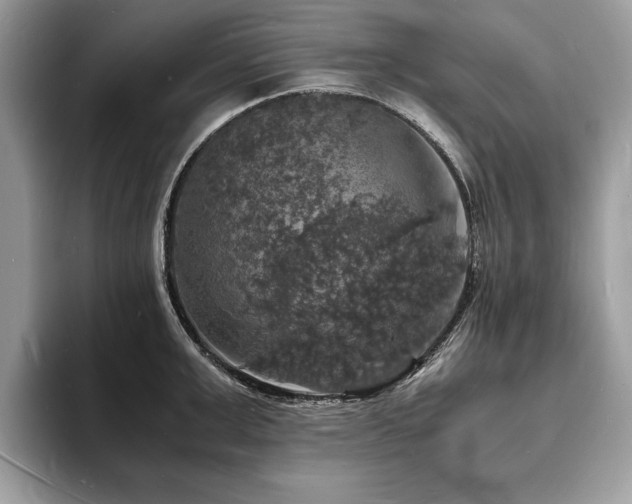 X0000094060999200710191058