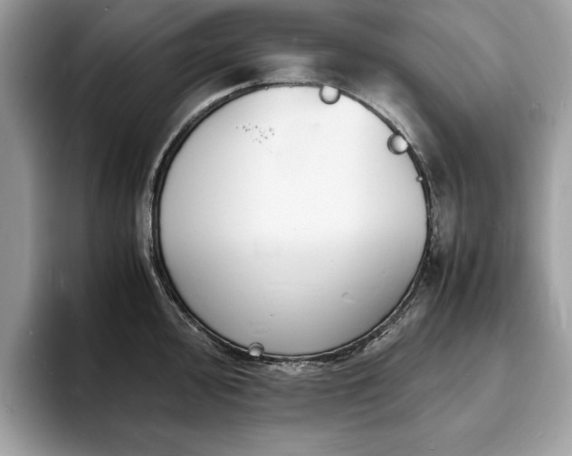X0000094061000200710191058
