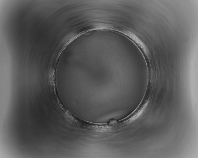 X0000094061001200710191058
