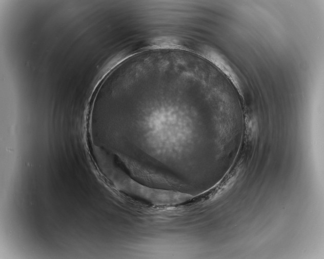 X0000094061002200710191058
