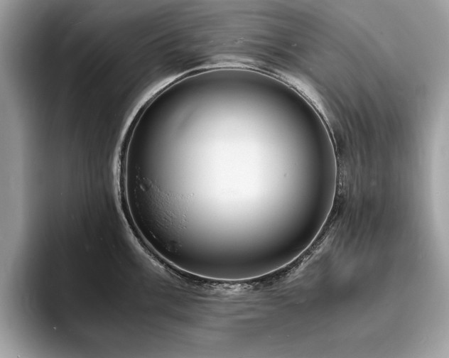 X0000094061003200710191058
