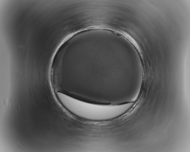 X0000094061005200710191058