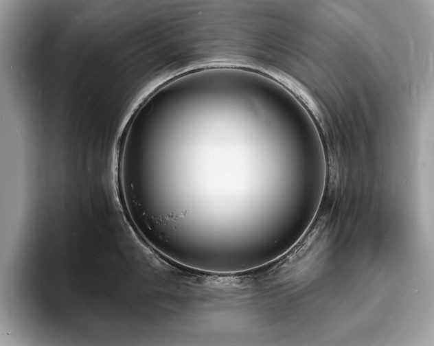 X0000094061006200710191058