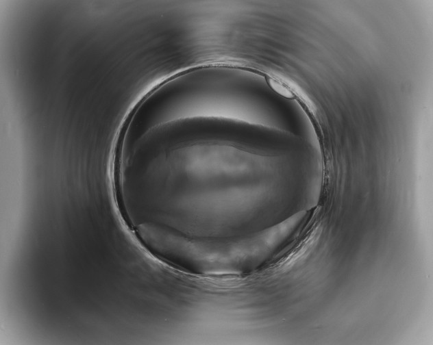 X0000094061007200710191058