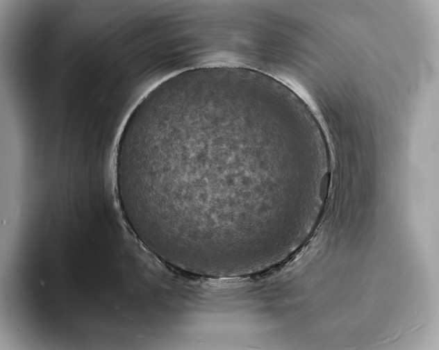 X0000094061008200710191058