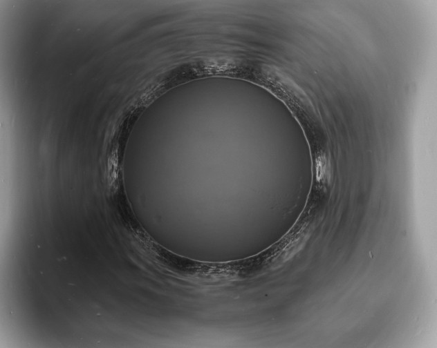 X0000094061011200710191057