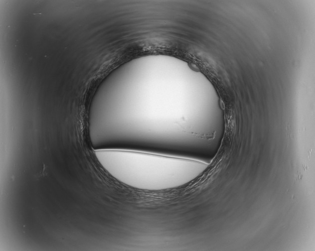 X0000094061012200710191057