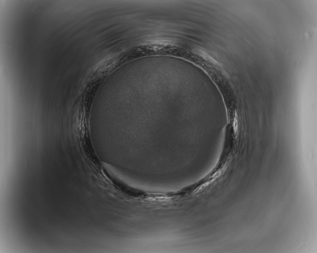 X0000094061014200710191057