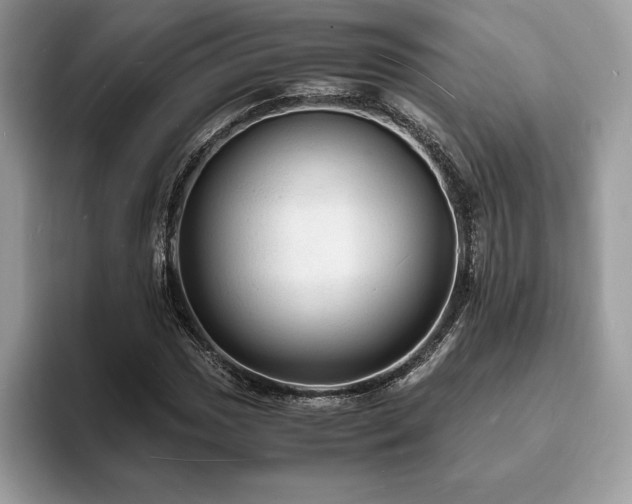 X0000094061017200710191057