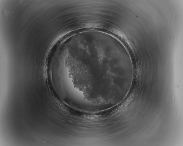 X0000094061019200710191057