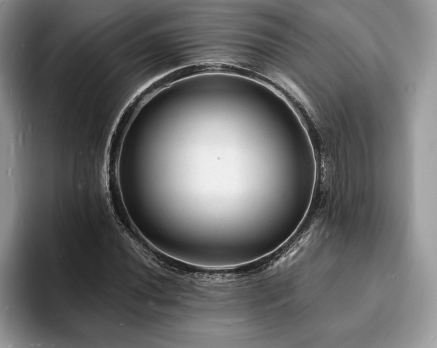 X0000094061020200710191057