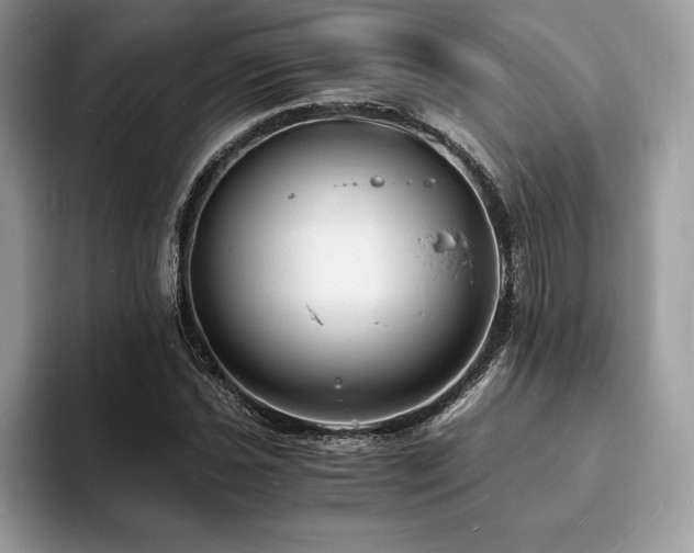 X0000094061021200710191057