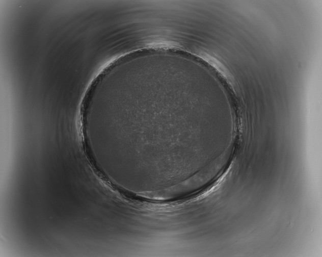 X0000094061022200710191057