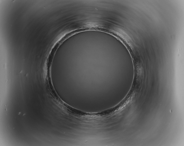 X0000094061023200710191057