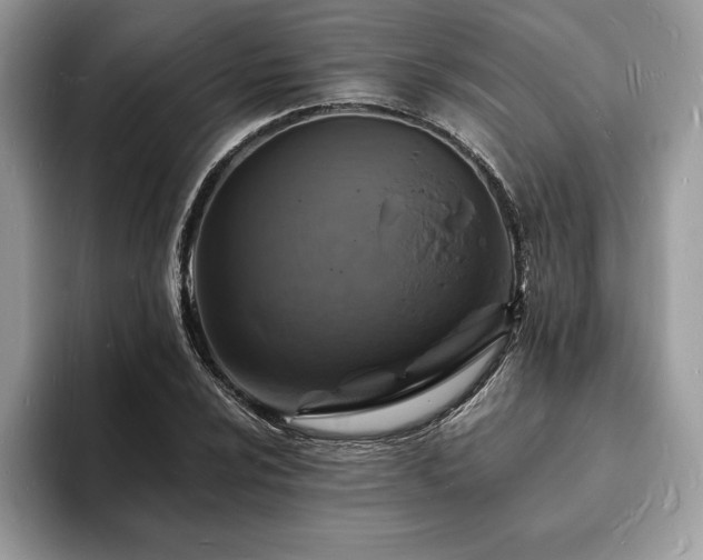 X0000094061024200710191057