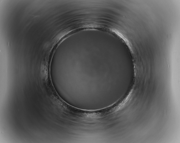 X0000094061025200710191057