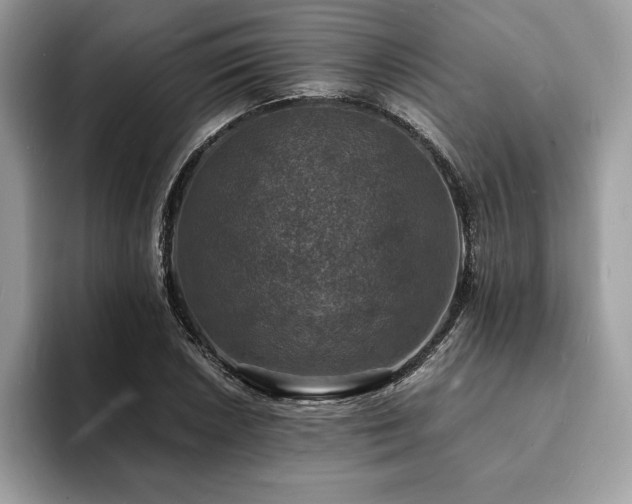 X0000094061026200710191057