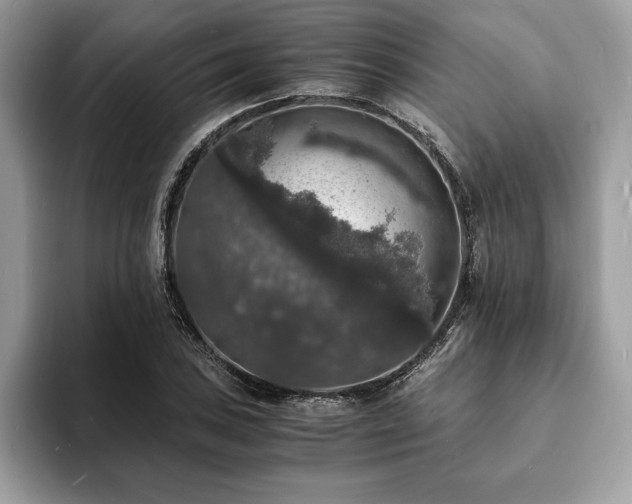X0000094061027200710191057