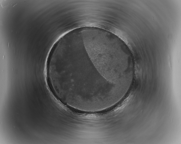 X0000094061028200710191057