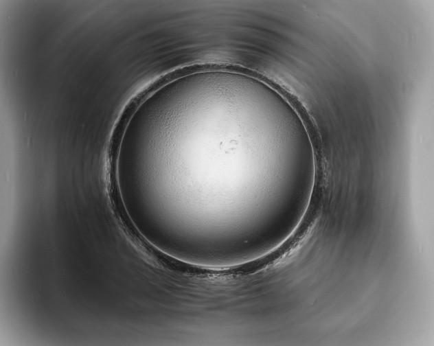 X0000094061029200710191057
