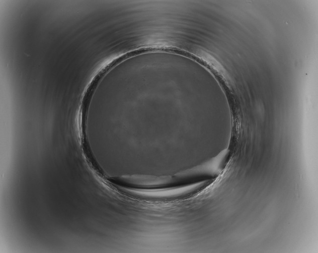 X0000094061030200710191057