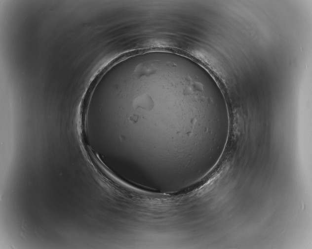 X0000094061031200710191057