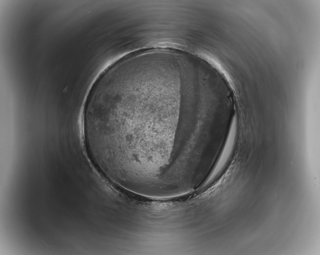 X0000094061032200710191057