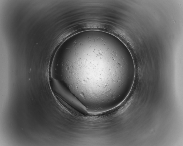 X0000094061033200710191057