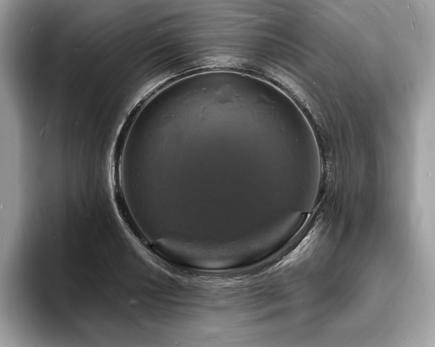 X0000094061034200710191057