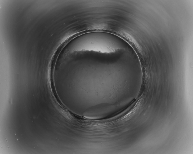 X0000094061035200710191057