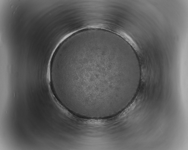 X0000094061036200710191057