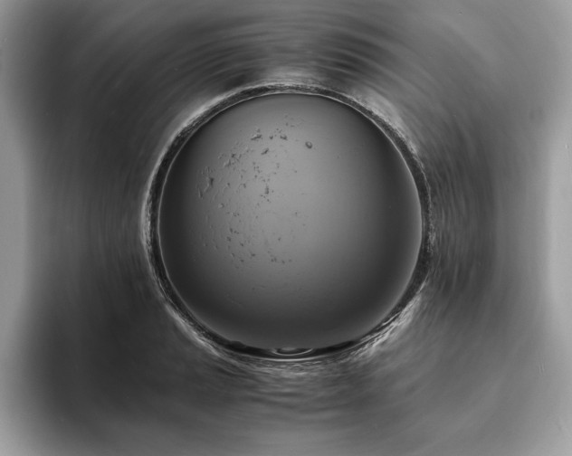 X0000094061037200710191057