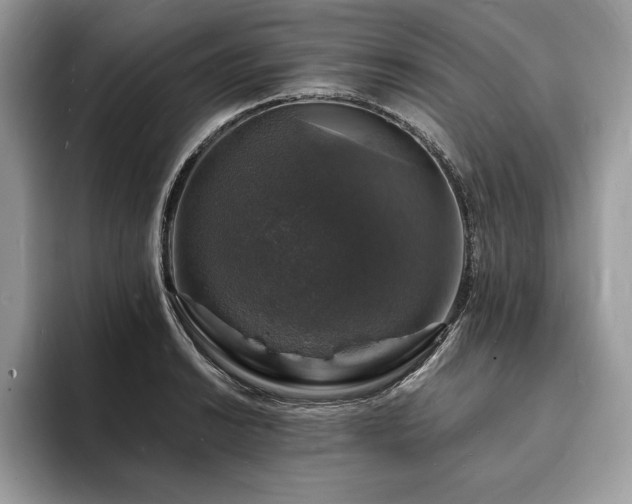X0000094061038200710191057