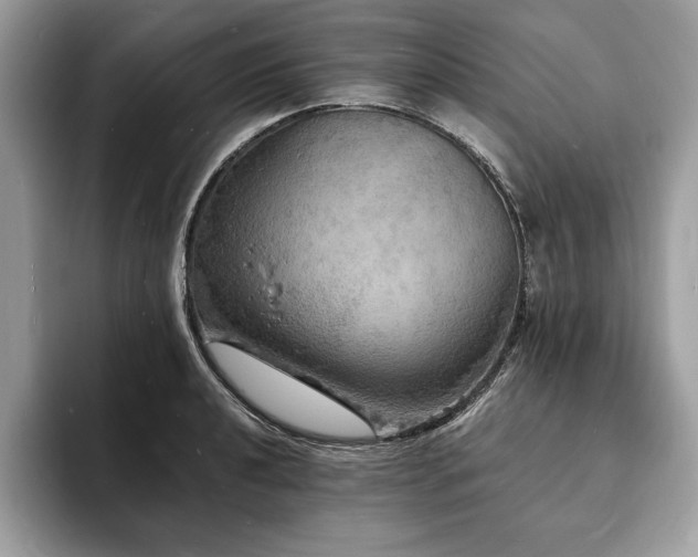 X0000094061040200710191057