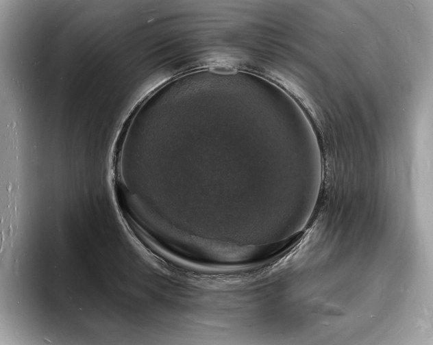 X0000094061042200710191057