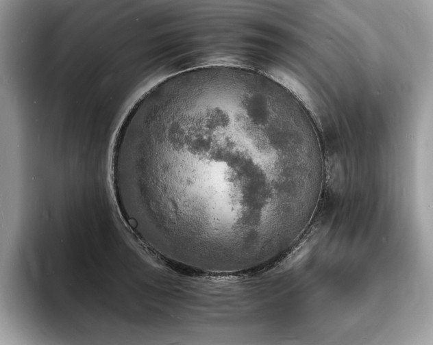 X0000094061043200710191058