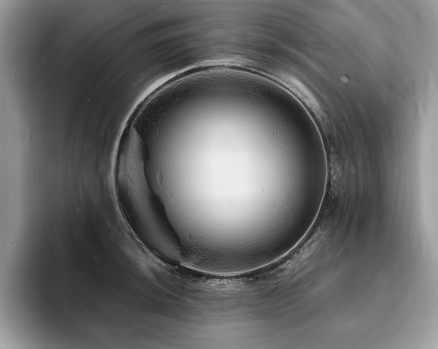 X0000094061044200710191058