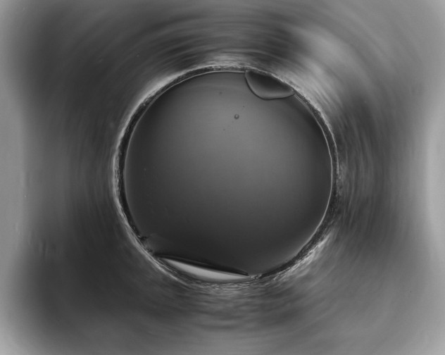 X0000094061045200710191058