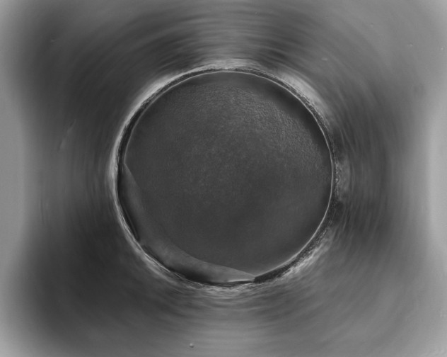 X0000094061046200710191058