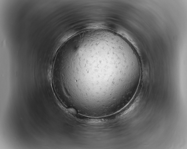 X0000094061049200710191058