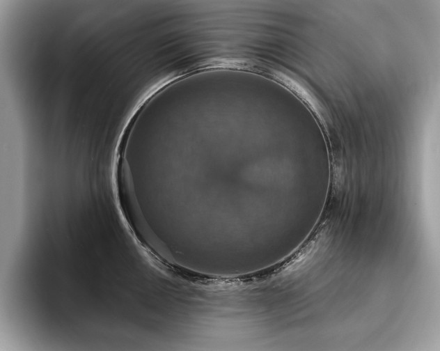 X0000094061050200710191058