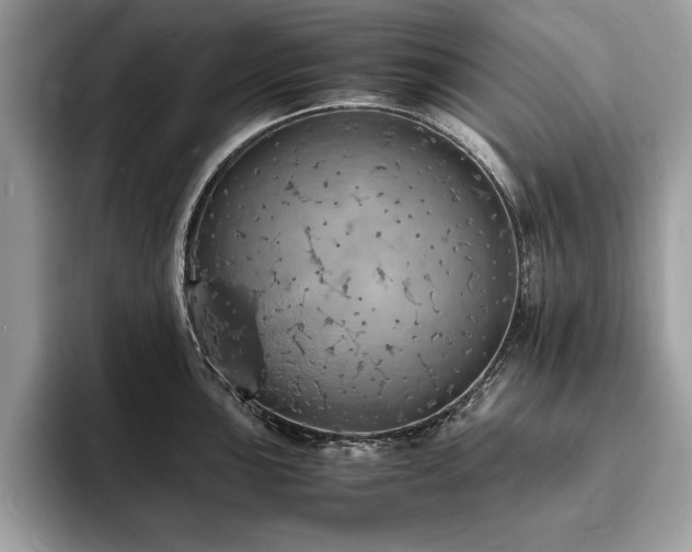 X0000094061051200710191058