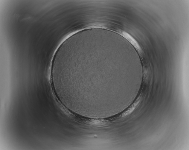 X0000094061052200710191058