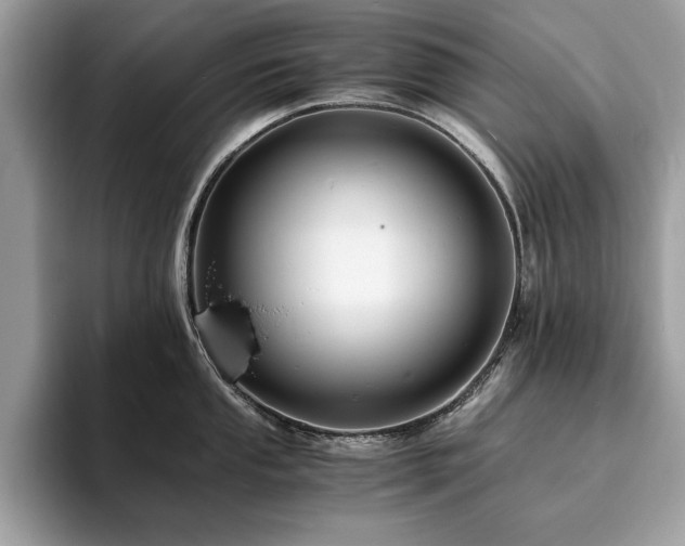 X0000094061053200710191058