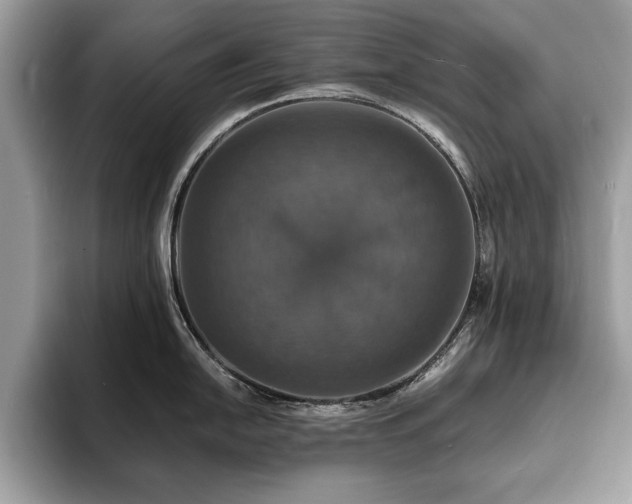 X0000094061054200710191058