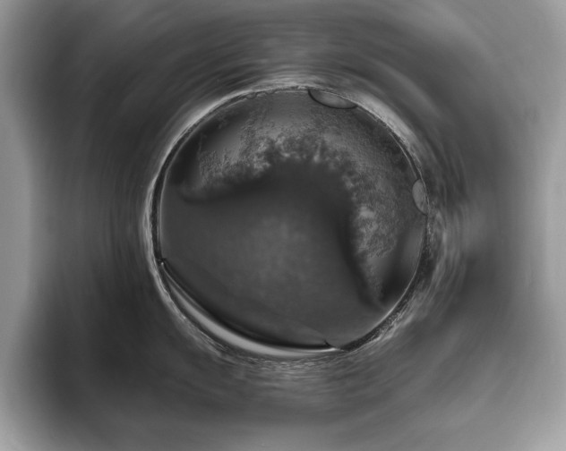 X0000094061055200710191058