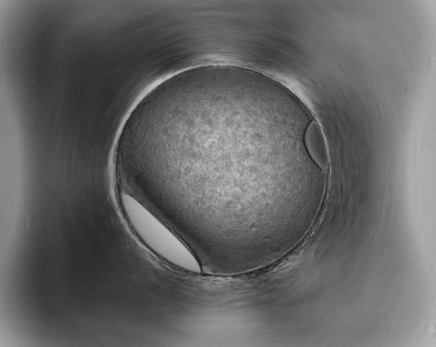 X0000094061056200710191058